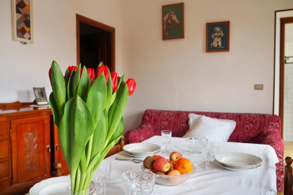 Casa Volpe Daire Magliano Alfieri Dış mekan fotoğraf