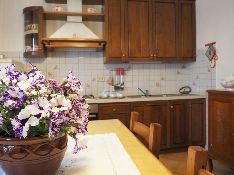 Casa Volpe Daire Magliano Alfieri Dış mekan fotoğraf